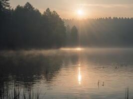 Sunbeams Breaking Through Fog Over a Calm Lake. photo