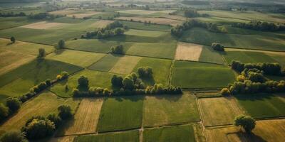 green fields top view aerial view in the summer. photo