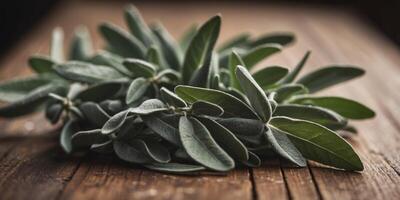 Fresh Sage Leaves on a Rustic Wooden Surface. photo