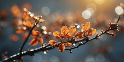 Unconventional representation of nature's forms through artistic expression. photo