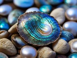 Close up of blue abalone pearl shell with shiny layers. photo
