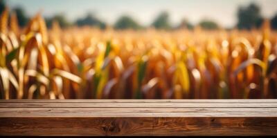 a rustic wooden table top with a blurred corn field background. photo