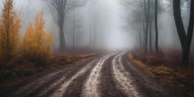 Muddy forest road disappearing into the fog on a gloomy day. photo
