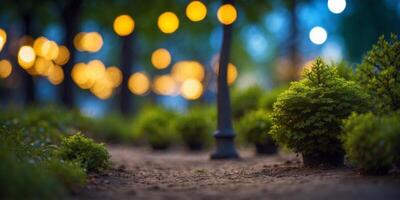 Capture the beauty of urban green spaces and public parks. photo