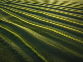 Aerial View of Green Grass Field with Stripes. photo