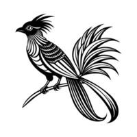 A black and white illustration of a bird with long feathers vector