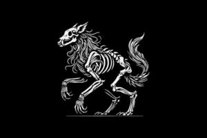 A skeleton with a long tail is standing on its hind legs vector