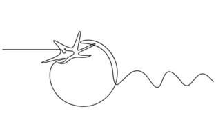 tomato fruit vegetable in Continuous one line drawing vector