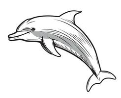 Dolphin hand drawn sketch illustration vector