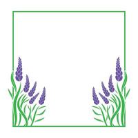 modern lavender plant border frame design template vector