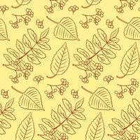 Autumn contour contrast seamless pattern with rowanberry, birch tree leaves and berries. Hand drawn flat style. Simple botanical illustration on light background. Perfect for textile and wrapping vector