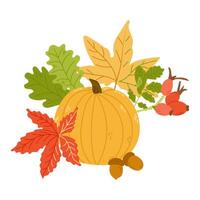 Autumn colored composition with leaves, berries and pumpkin in hand drawn flat style. Simple botanical clipart vector