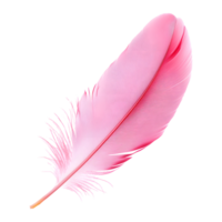 a pink feather with a transparent background and the word feather on it png