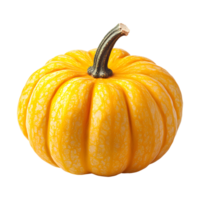 a pumpkin with a black handle on a transparent background png