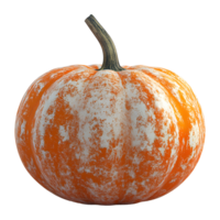 a pumpkin on a transparent background with a white spot on it png