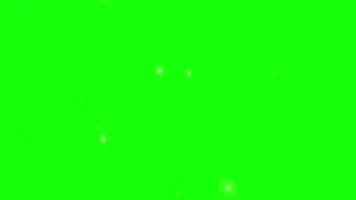 Butterfly color pop up animation motion chroma key green screen 4k template background. video