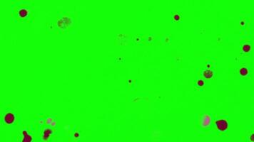 Paint splatter pop up animation motion chroma key green screen 4k template background. video