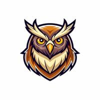 an owl head with big eyes on a white background vector