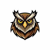 an owl head with big eyes on a white background vector