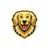 a golden retriever head on a white background vector
