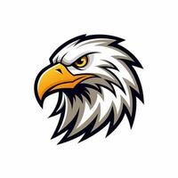 an eagle head on a white background vector