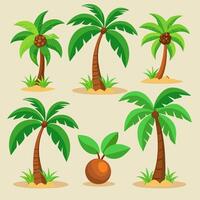 tropical palm trees and coconut trees on the beach vector