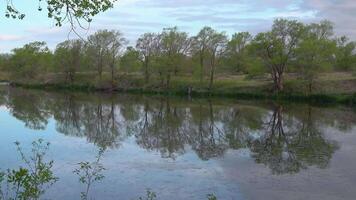 Reflection of trees in the lake water, Utah video