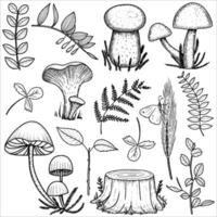 Hand drawn forest set with stump, tree branches, ferns, mushrooms. illustration vector