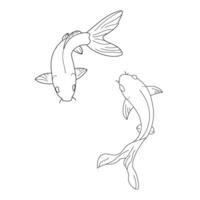 Koi karps isolated two Koi karps top view simple minimal line drawing vector