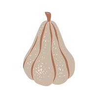 Pumpkin in flat style isolated on white background. vector