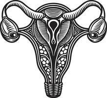The female reproductive system in a woodcut style vector