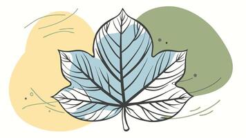 A leaf with a green and blue background vector