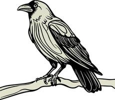 A crow sitting on a branch vector