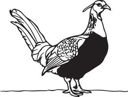 A pheasant is standing on a white background vector