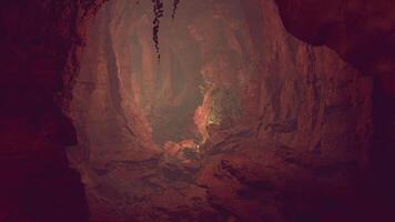 A mystical cave with a natural rock formation surrounded by lush trees video