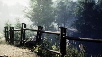 A rustic wooden fence surrounded by lush green trees in a peaceful forest video