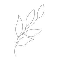 Simple line drawing of a branch with five elongated oval leaves. The clean, hand-drawn lines add a touch of natural elegance, perfect for educational or decorative purposes. vector