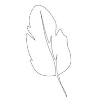 Stylized line drawing of a leaf with multiple long, narrow leaflets radiating from a central stem, perfect for minimalist designs or botanical illustrations vector