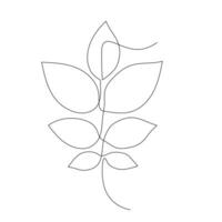 Simple line drawing of a plant with eight symmetrically arranged leaves around two central lines representing the stem and midrib. The abstract form captures the essence of plant structure vector