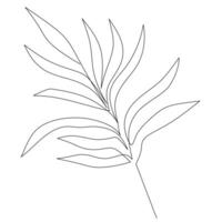 Stylized line drawing of a leaf with multiple long, narrow leaflets radiating from a central stem, perfect for minimalist designs or botanical illustrations vector
