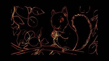 Neon frame effect, squirrel on black background video
