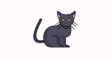Eye icon animation cat blinks, head moves and cat tail moves with 4k resolution. video