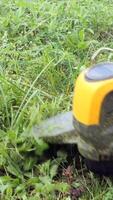 vertical Lawn trimmer in the process of work. Close-up of trimmer video