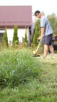 vertical Gardener mows weeds grass using string trimmer. video