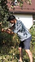vertical Lumberjack man chopping down tree with axe in backyard video