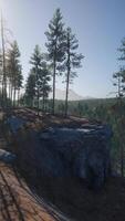 Beautiful mountain view with pine forest video