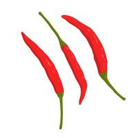 illustrations of three fresh red chilies in a flat hand drawn design style. vector
