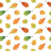 Seamless pattern with autumn birch and oak leaves. vector