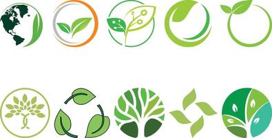 circle leaves ecology icons graphic design vector