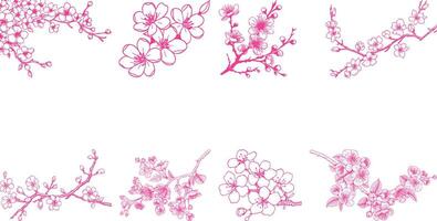 Japanese cherry icon set collection vector